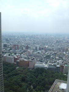 50階からの眺め