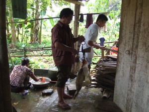 かわいそうですが、もうすぐ・・・