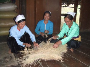 DSCF6947 自分が良いと思う穂を選ぶアムさんたち