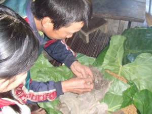 むむ？まだみたいだぞ。