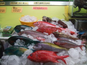 DSCF8702 カラフルすぎる!