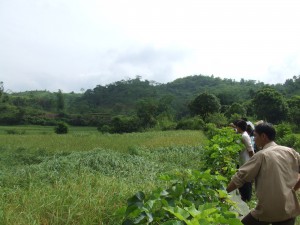 DSCF9161 交流会開催前日に強風で稲が倒れてしまったニエムさんの田んぼ